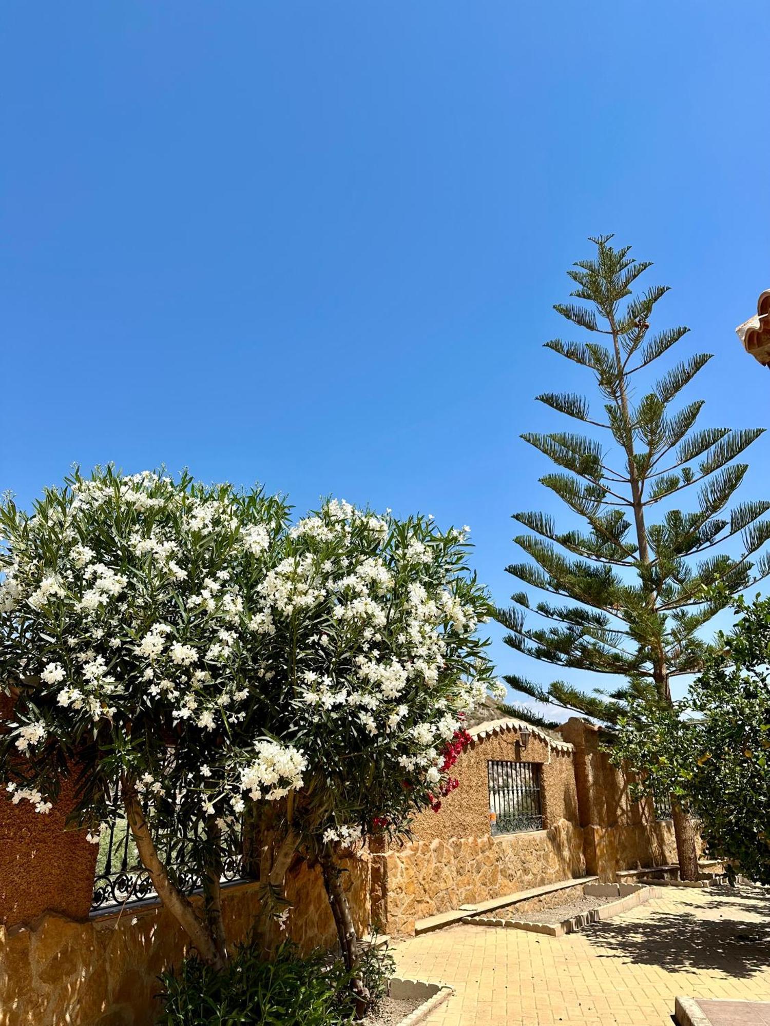 Casa Rural El Pomelo Zurgena Buitenkant foto